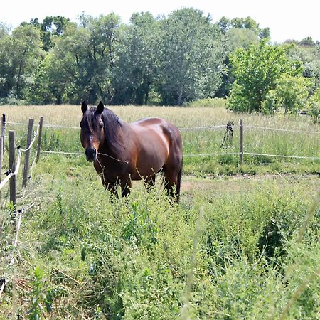 فيلا Lobilum En Camargue انت مارتن دي كراو المظهر الخارجي الصورة